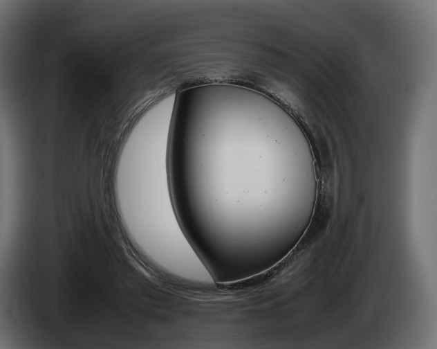 X0000085050397200703051049