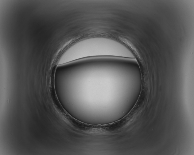 X0000085050399200703051049