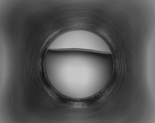 X0000085050400200703051049