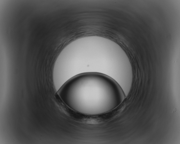 X0000085050412200703051049