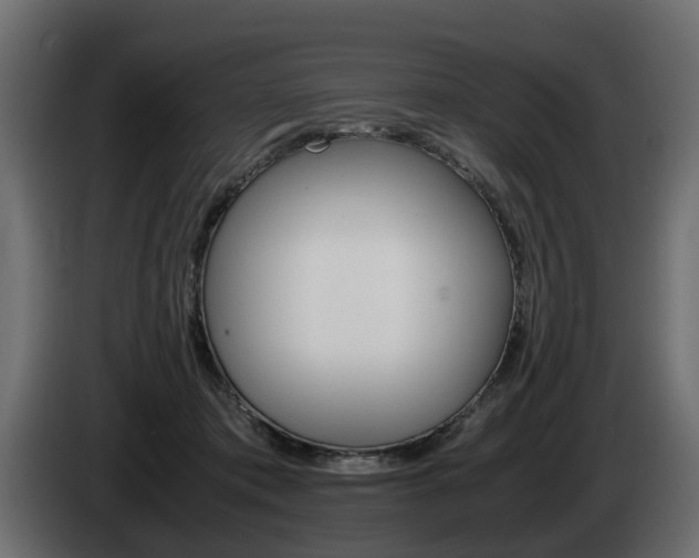 X0000085050413200703051049