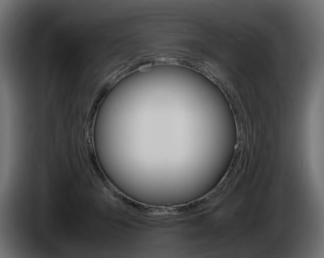X0000085050415200703051049
