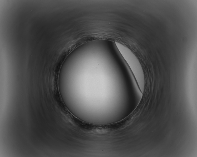 X0000085050416200703051049