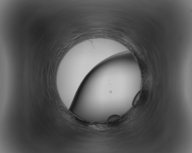 X0000085050417200703051049