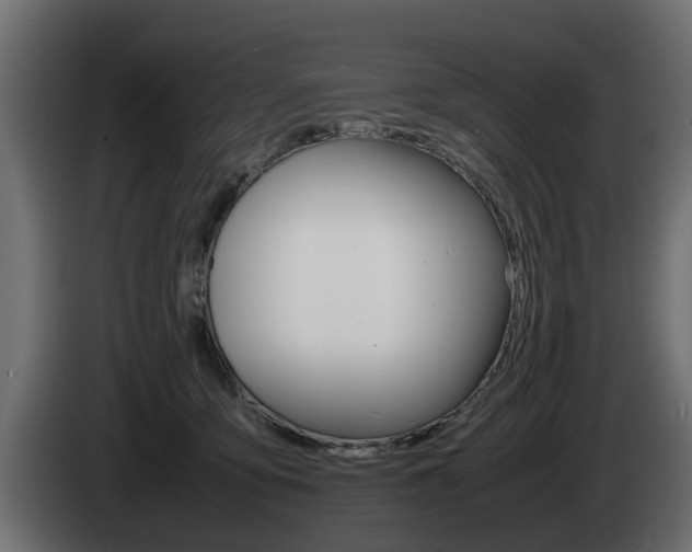 X0000085050419200703051049
