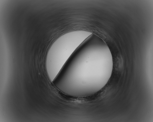 X0000085050420200703051049