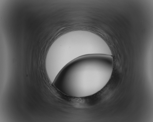 X0000085050421200703051049