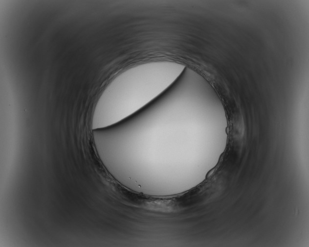 X0000085050422200703051049