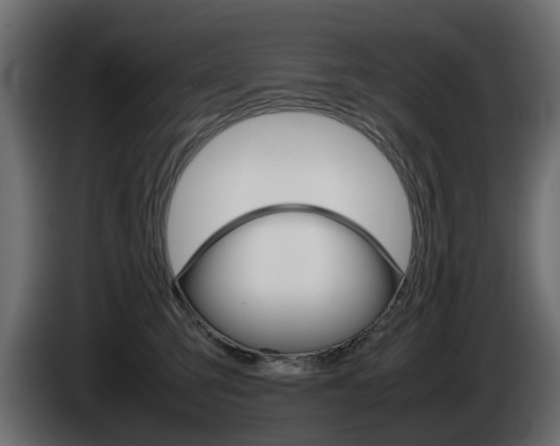 X0000085050423200703051049