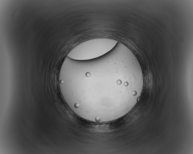 X0000085050426200703051049