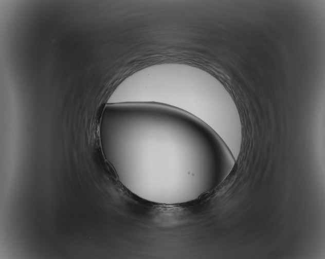 X0000085050429200703051049