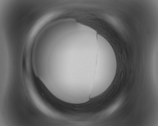 X0000085050431200703051049