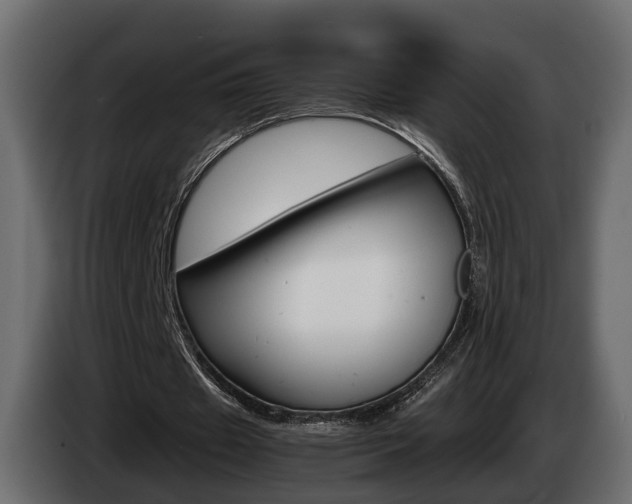 X0000085050433200703051048