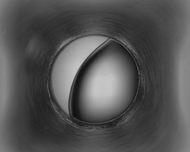 X0000085050434200703051048