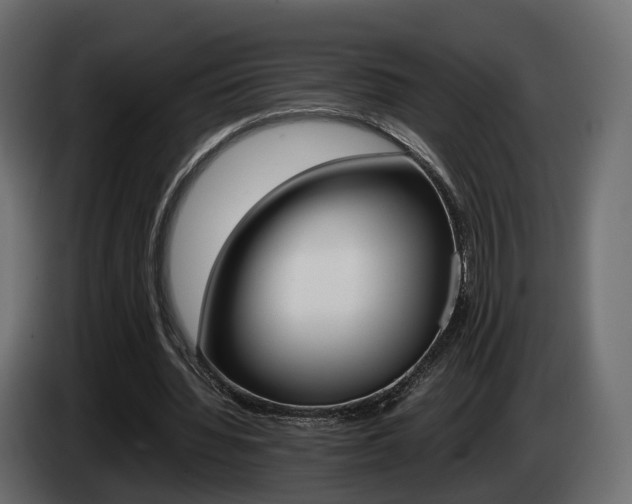 X0000085050436200703051048