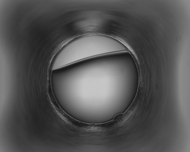 X0000085050437200703051048