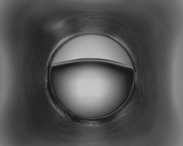 X0000085050438200703051048