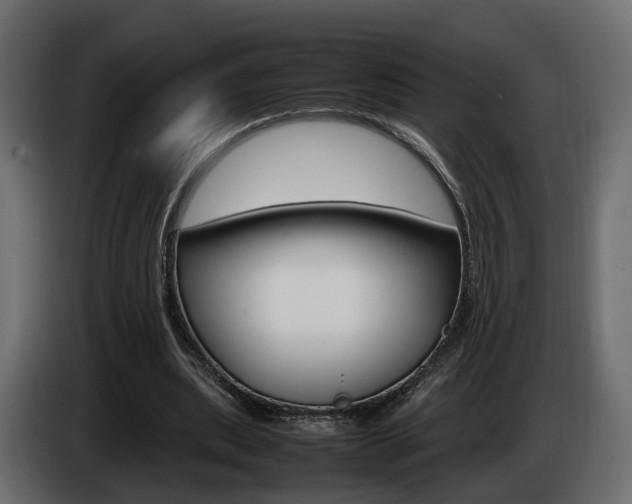 X0000085050439200703051048