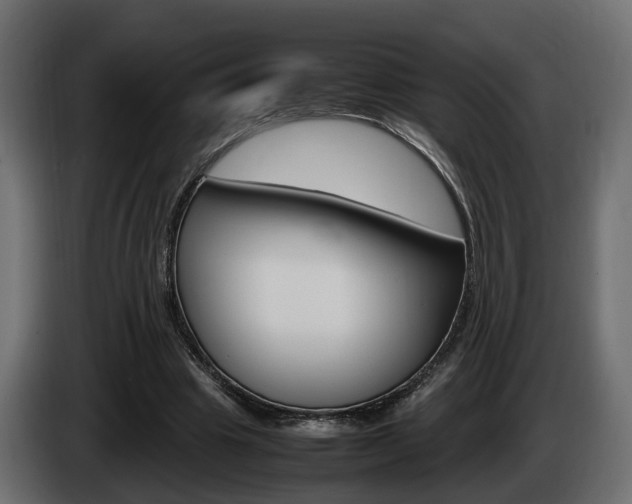X0000085050441200703051048
