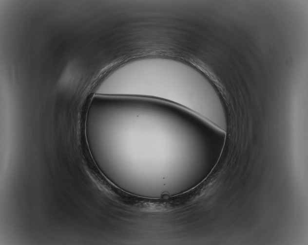 X0000085050442200703051048