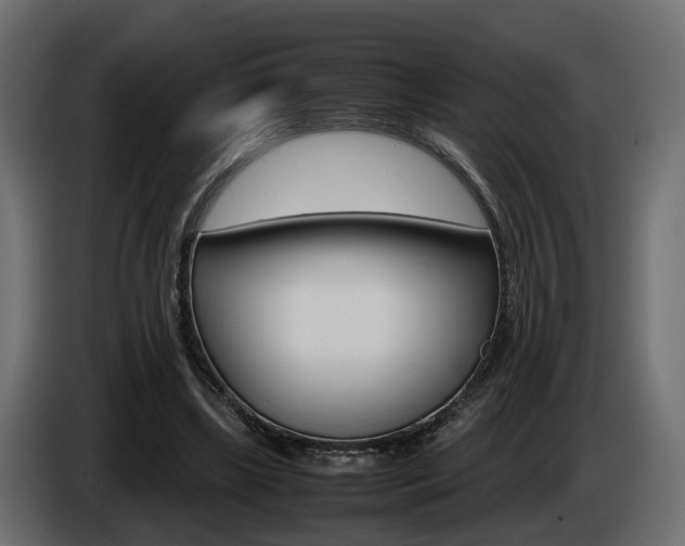 X0000085050443200703051048