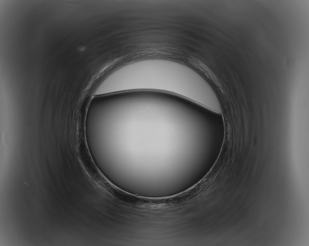 X0000085050444200703051048