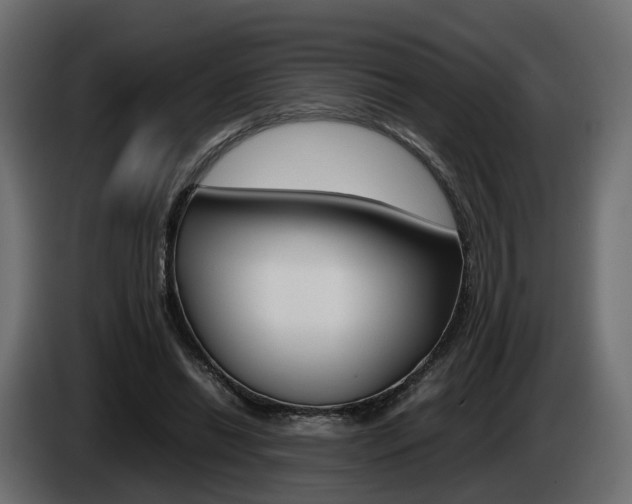 X0000085050446200703051048