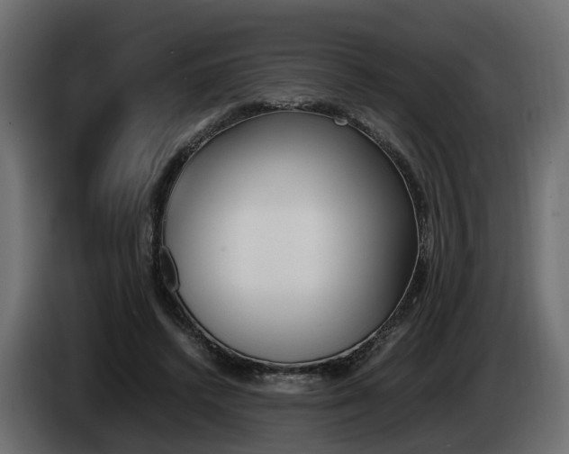 X0000085050448200703051048
