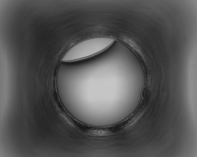 X0000085050449200703051048