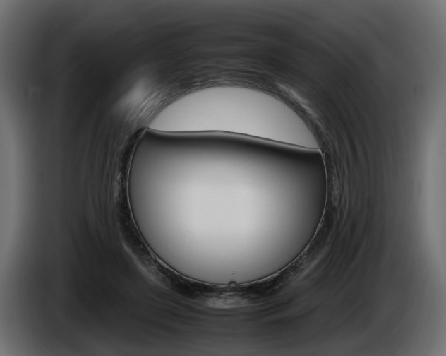 X0000085050451200703051048