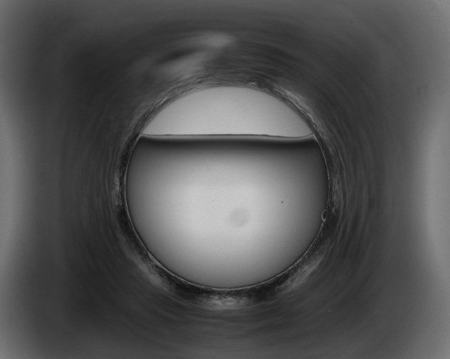 X0000085050453200703051048