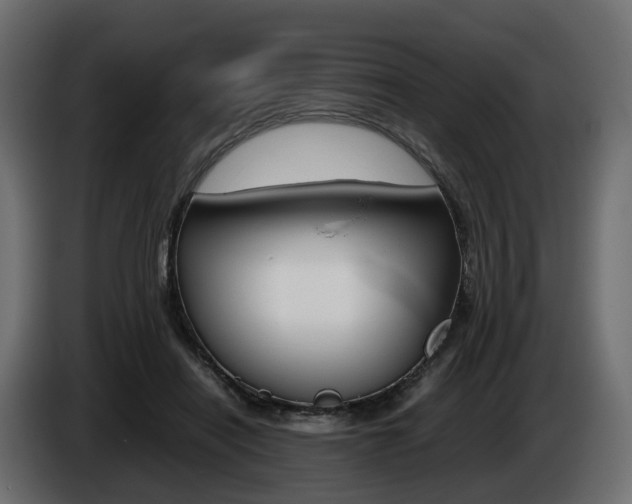 X0000085050454200703051048