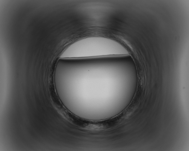 X0000085050455200703051048