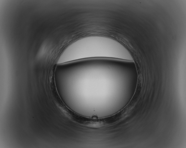 X0000085050458200703051048