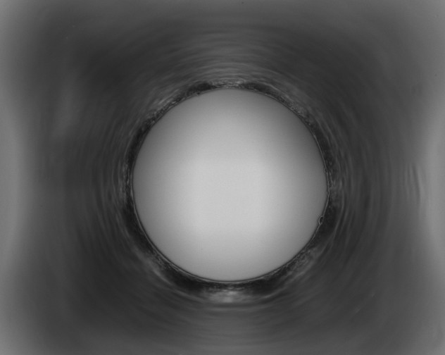 X0000085050460200703051048