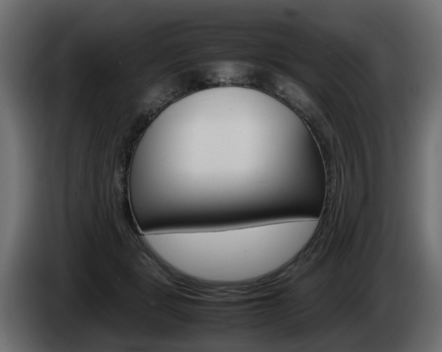 X0000085050461200703051048