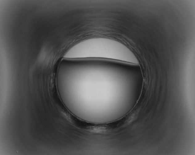 X0000085050462200703051048