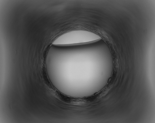 X0000085050463200703051048