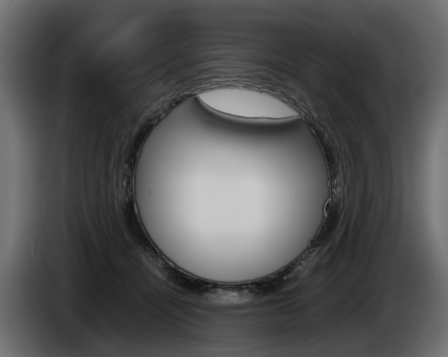 X0000085050464200703051048
