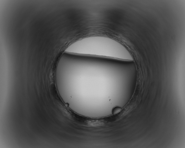 X0000085050465200703051048