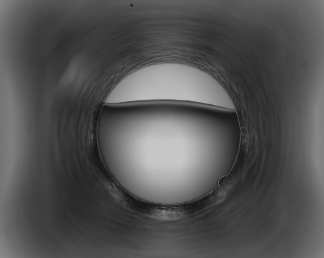 X0000085050466200703051048