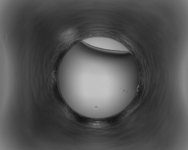 X0000085050467200703051048