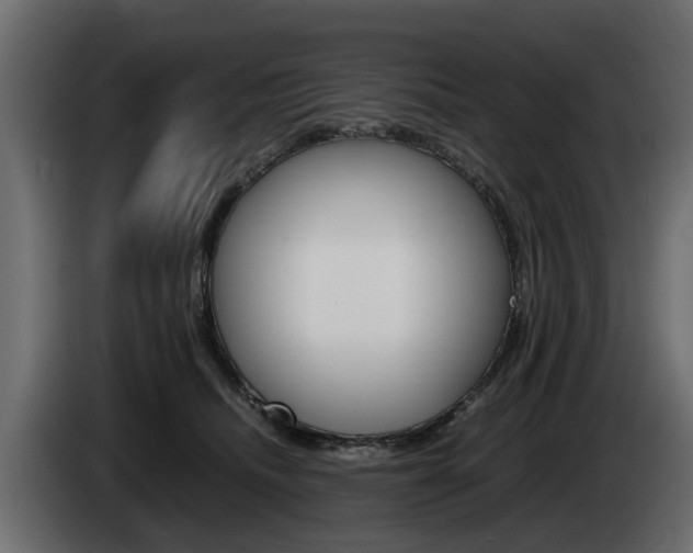 X0000085050468200703051048