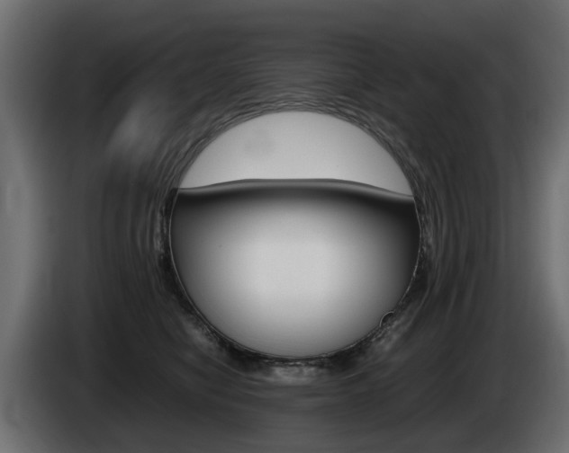 X0000085050470200703051048
