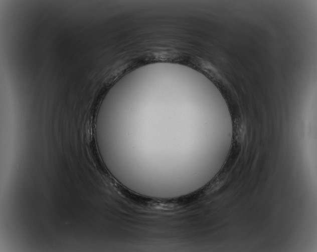 X0000085050471200703051048