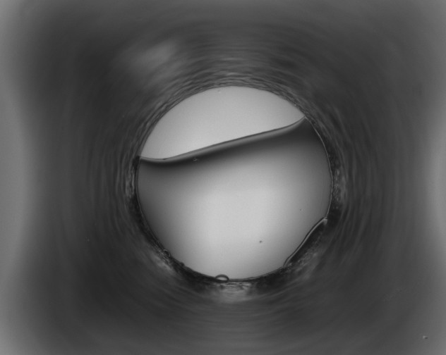 X0000085050474200703051049