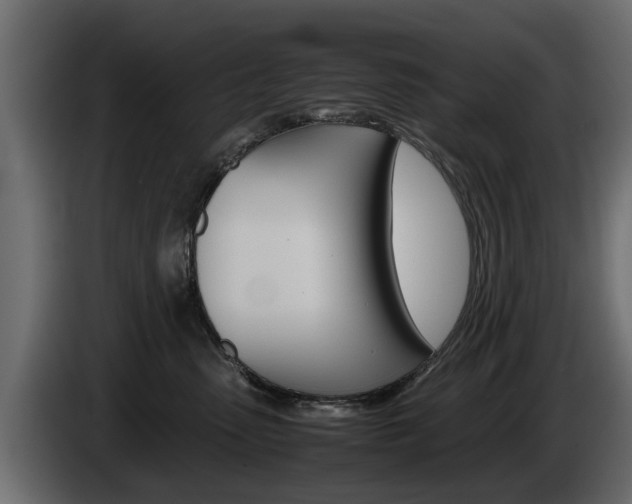 X0000085050475200703051049