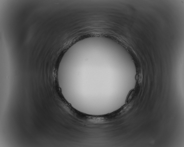 X0000085050476200703051049