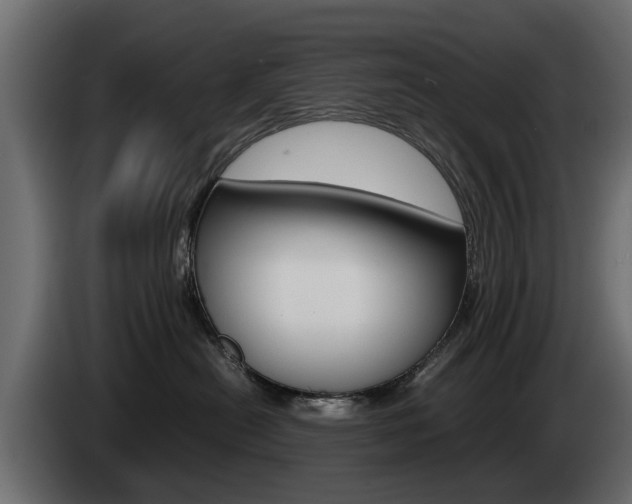 X0000085050478200703051049