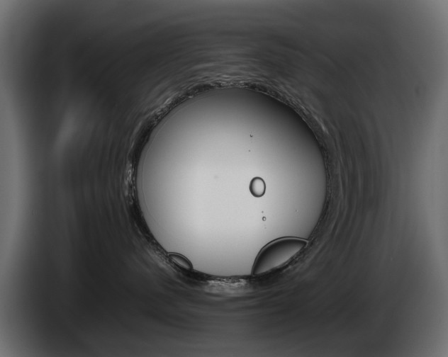 X0000085050480200703051049